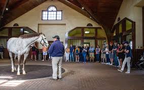 A group of people stands in a semi-circle inside a stable, observing a white horse. A person in a navy jacket and cap leads the presentation. With its wooden ceiling and large window, this charming stable makes for one of the fascinating things to do in Lexington KY.