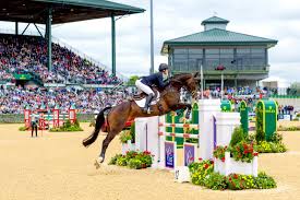 Amidst the dynamic energy of a large stadium in Lexington, KY, an equestrian jumps gracefully over obstacles during a thrilling competition. Spectators watch eagerly as the course, adorned with colorful flowers and various barriers, showcases one of the exciting things to do in Lexington.