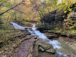 A small stream flows over layered rock formations in a forest near Lexington, KY. Sunlight filters through the trees, creating a dappled light effect on the water and surrounding foliage. This serene scene invites exploration, showcasing autumn colors that make it a must-see among things to do in Lexington.