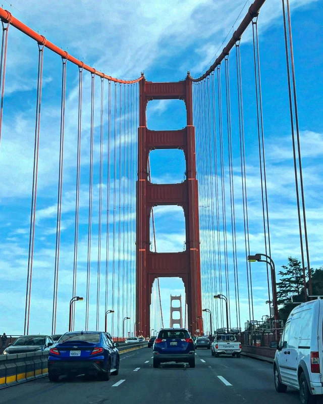 The weekend! The City  for the weekend with my favorite human. The Cherry Blossom Festival, a murder mystery dinner (we were Sgt. Snark and Ms. Demeanor), and room service! 

#love #thebest #salaiz7 #dinnerdetective 
#cherryblossomfestival #sanfrancisco